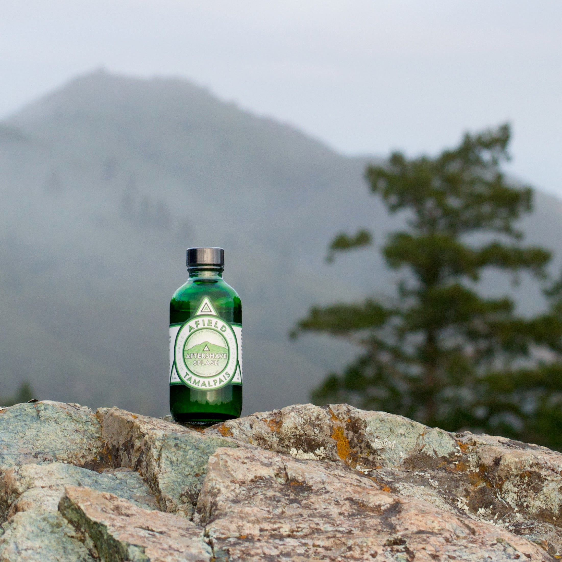 Green glass Afield Tamalpais Aftershave Splash bottle with a white label on a rock with a Douglas Fir tree and Mount Tamalpais in the background.